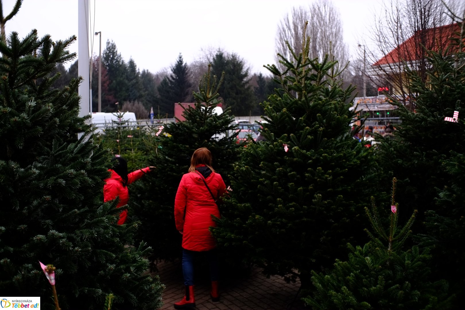 Karácsony előtt a Jósavárosi Piacon - 2025