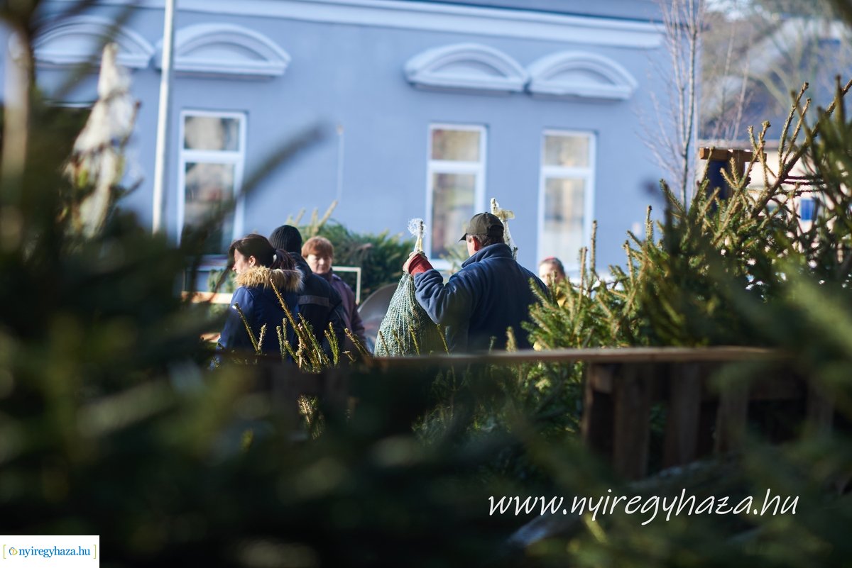 Karácsony előtti pillanatok a Búza téri piacon