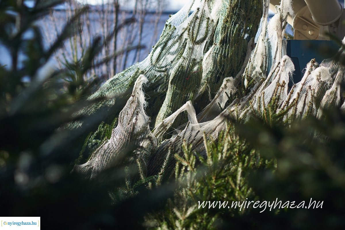 Karácsony előtti pillanatok a Búza téri piacon