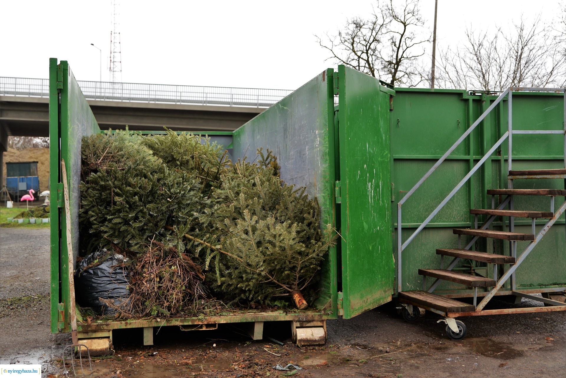 Karácsonyfáért ajándék akció - nyereménysorsolás 2023