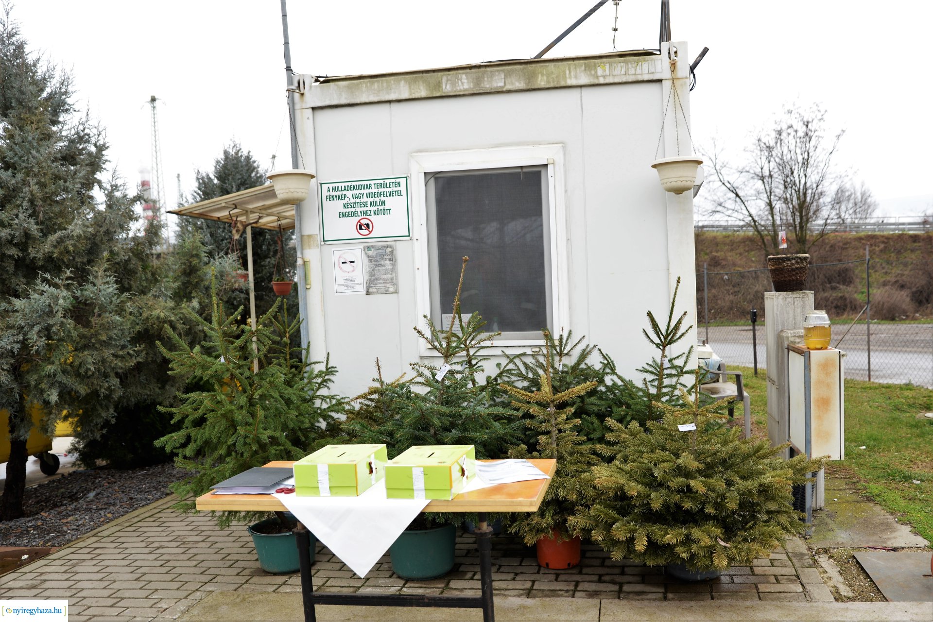 Karácsonyfáért ajándék akció - nyereménysorsolás 2023