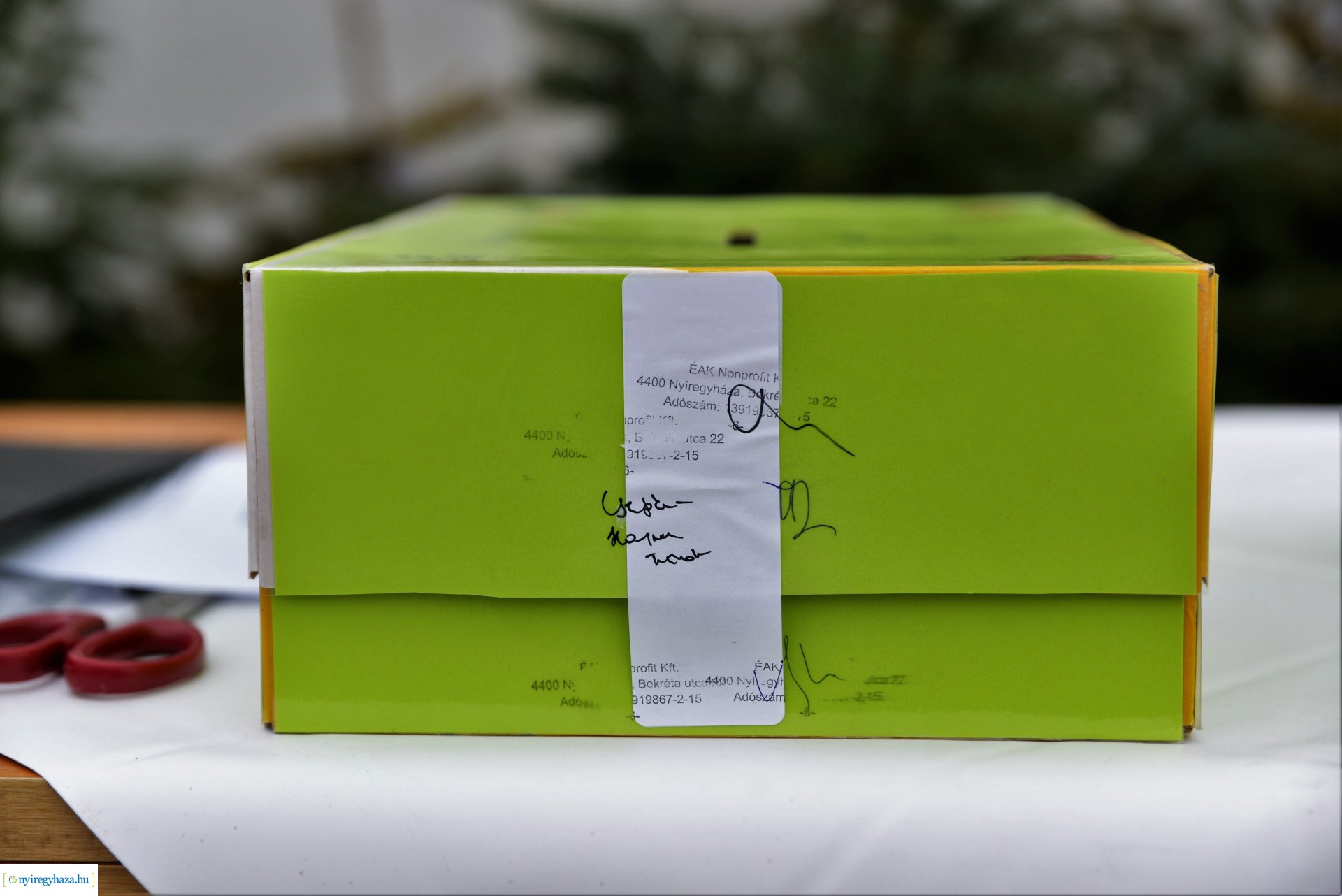 Karácsonyfáért ajándék akció - nyereménysorsolás 2023