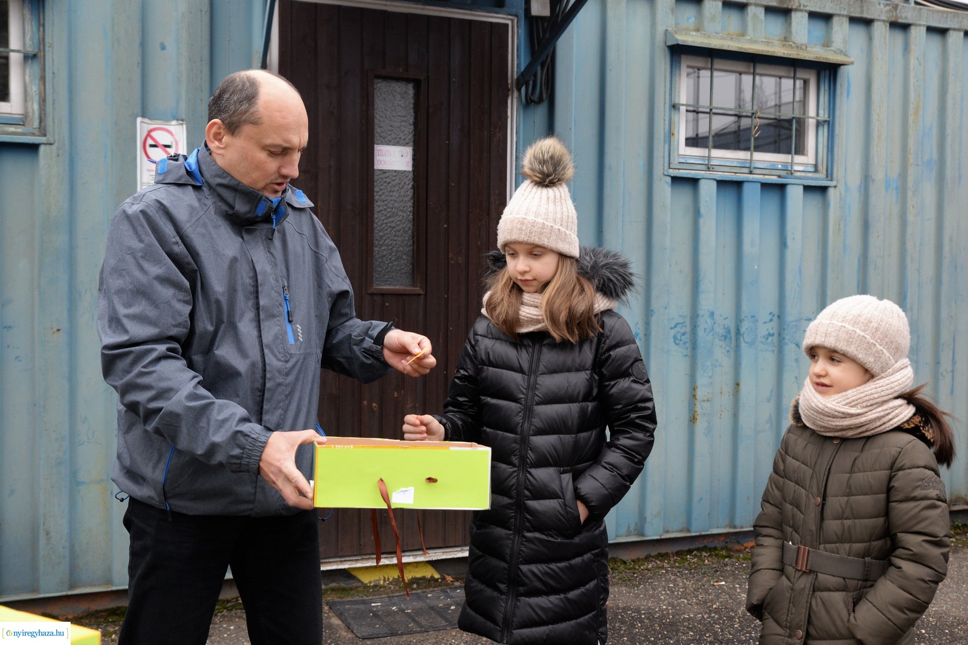 Karácsonyfáért ajándék - sorsolás 