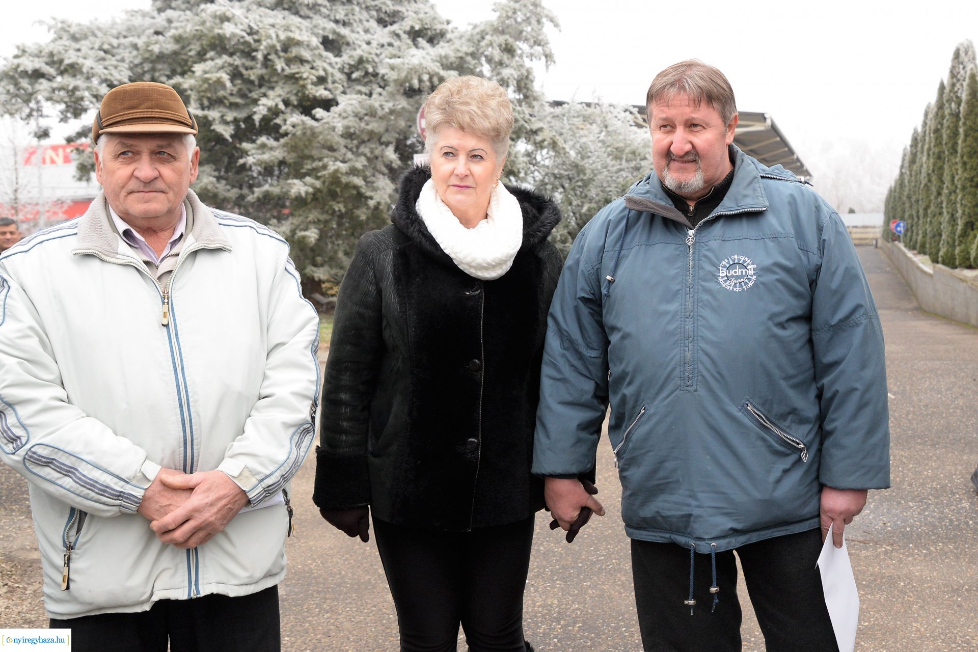 Karácsonyfáért ajándék - sorsolás 