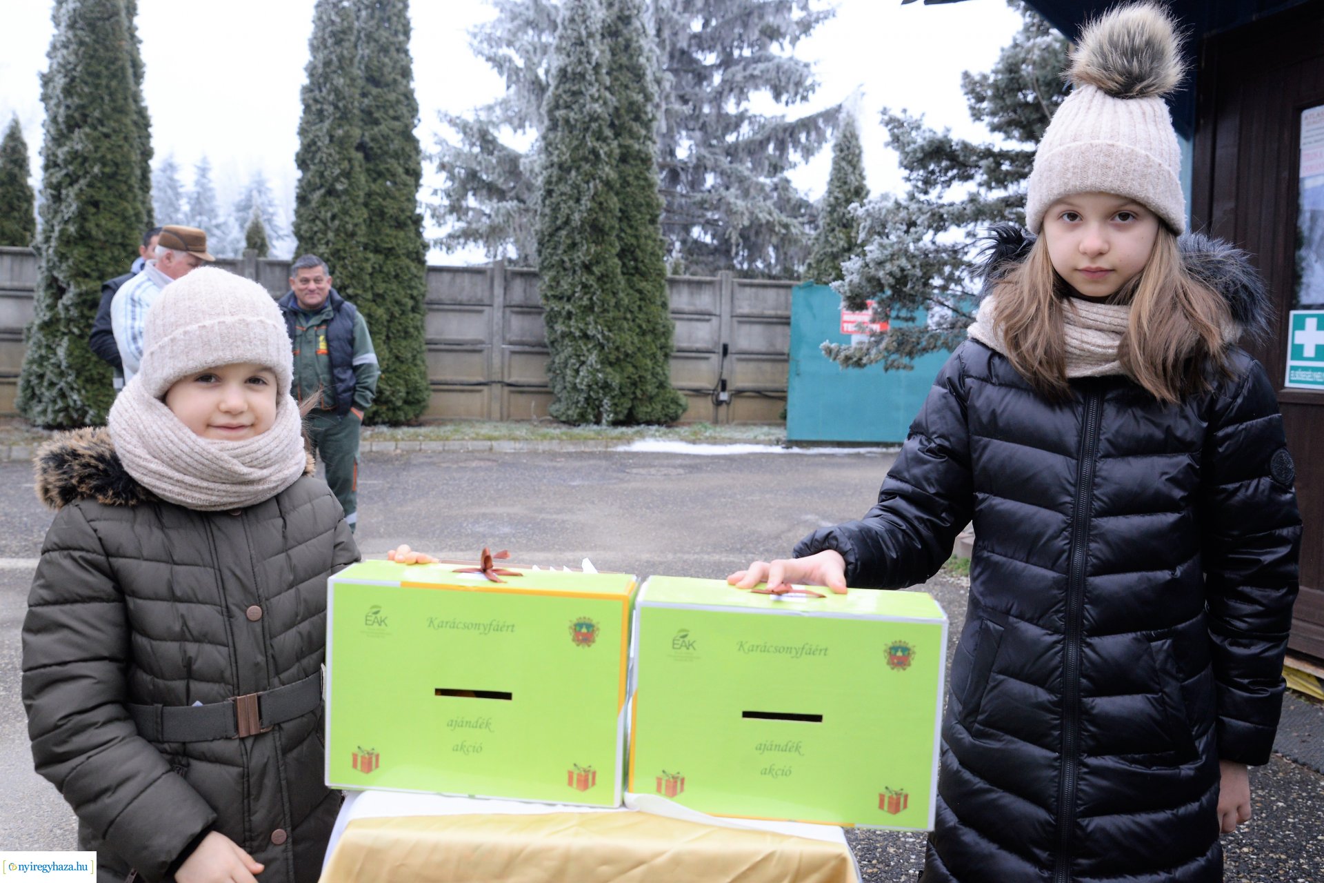 Karácsonyfáért ajándék - sorsolás 