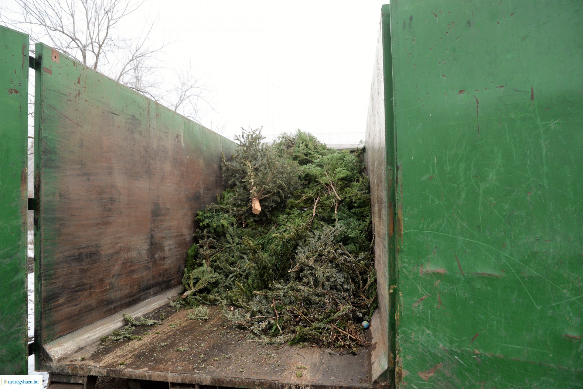 Karácsonyfáért ajándékot - kisorsolták a nyerteseket 