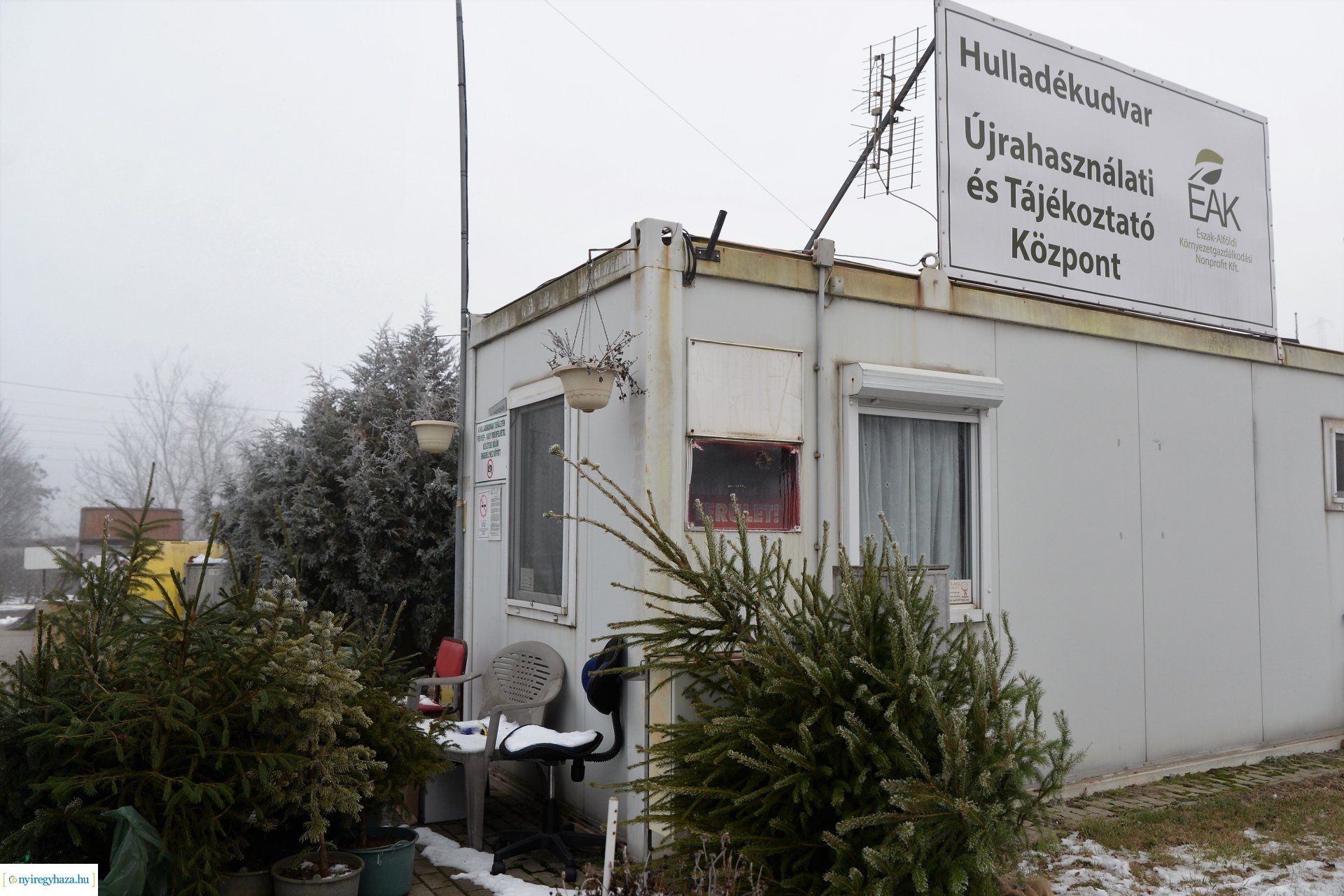 Karácsonyfáért ajándékot - kisorsolták a nyerteseket 