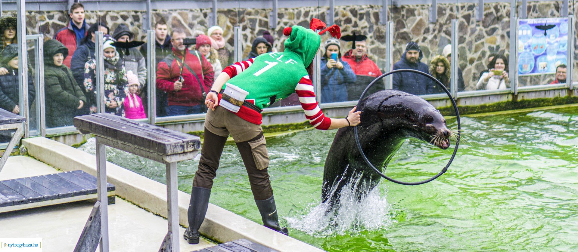 Karácsonyi családi nap a Nyíregyházi Állatparkban