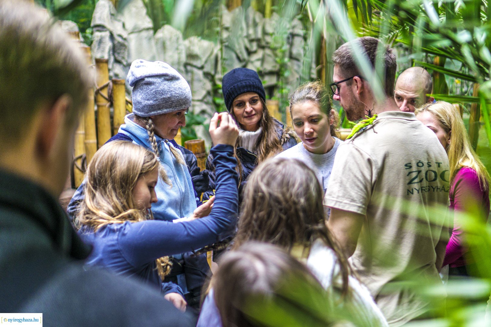 Karácsonyi családi nap a Nyíregyházi Állatparkban