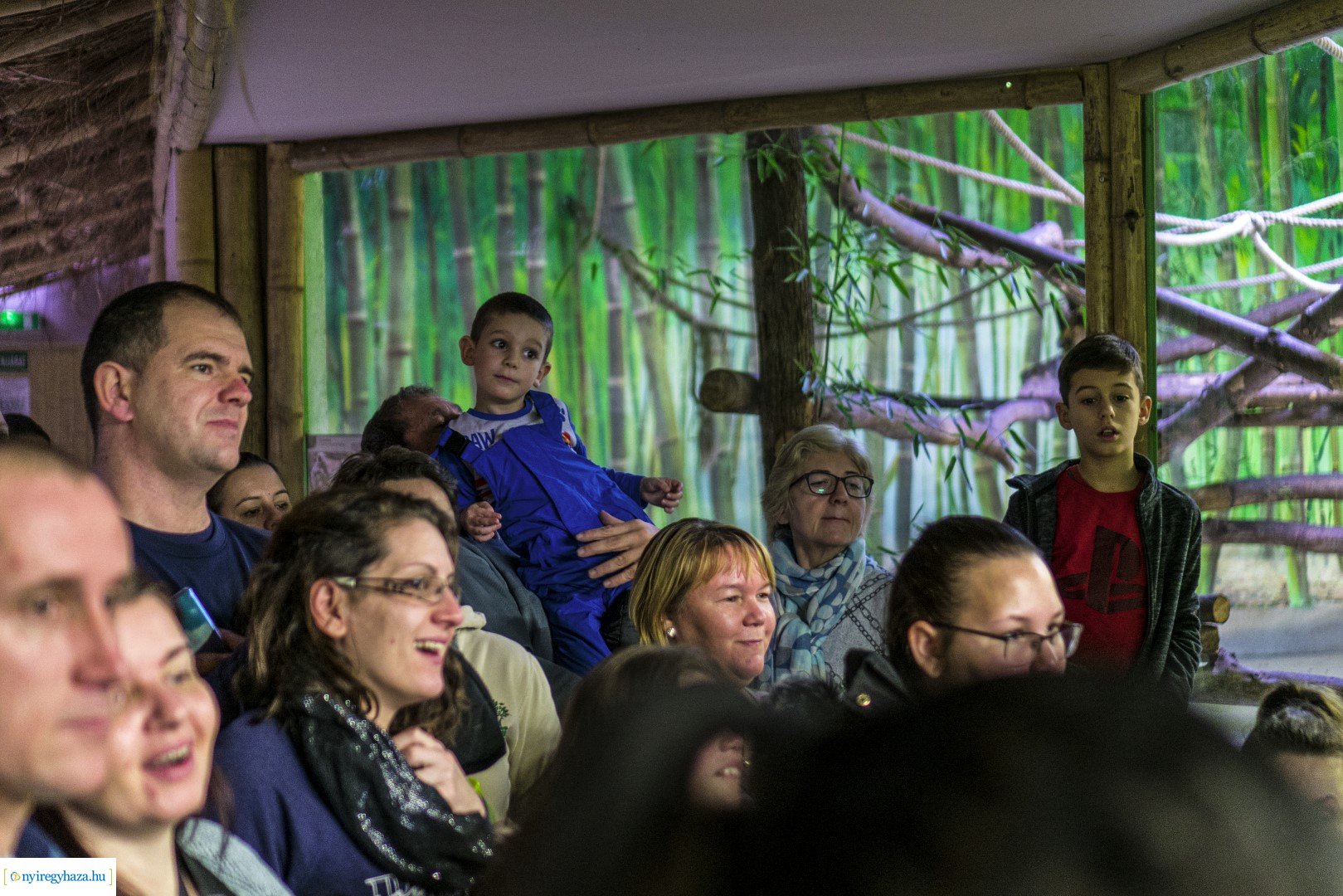 Karácsonyi családi nap a Nyíregyházi Állatparkban