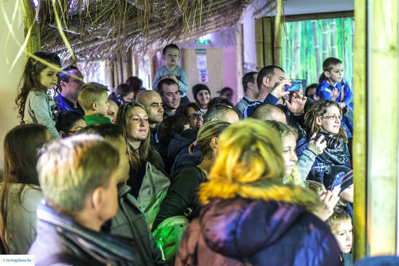 Karácsonyi családi nap a Nyíregyházi Állatparkban