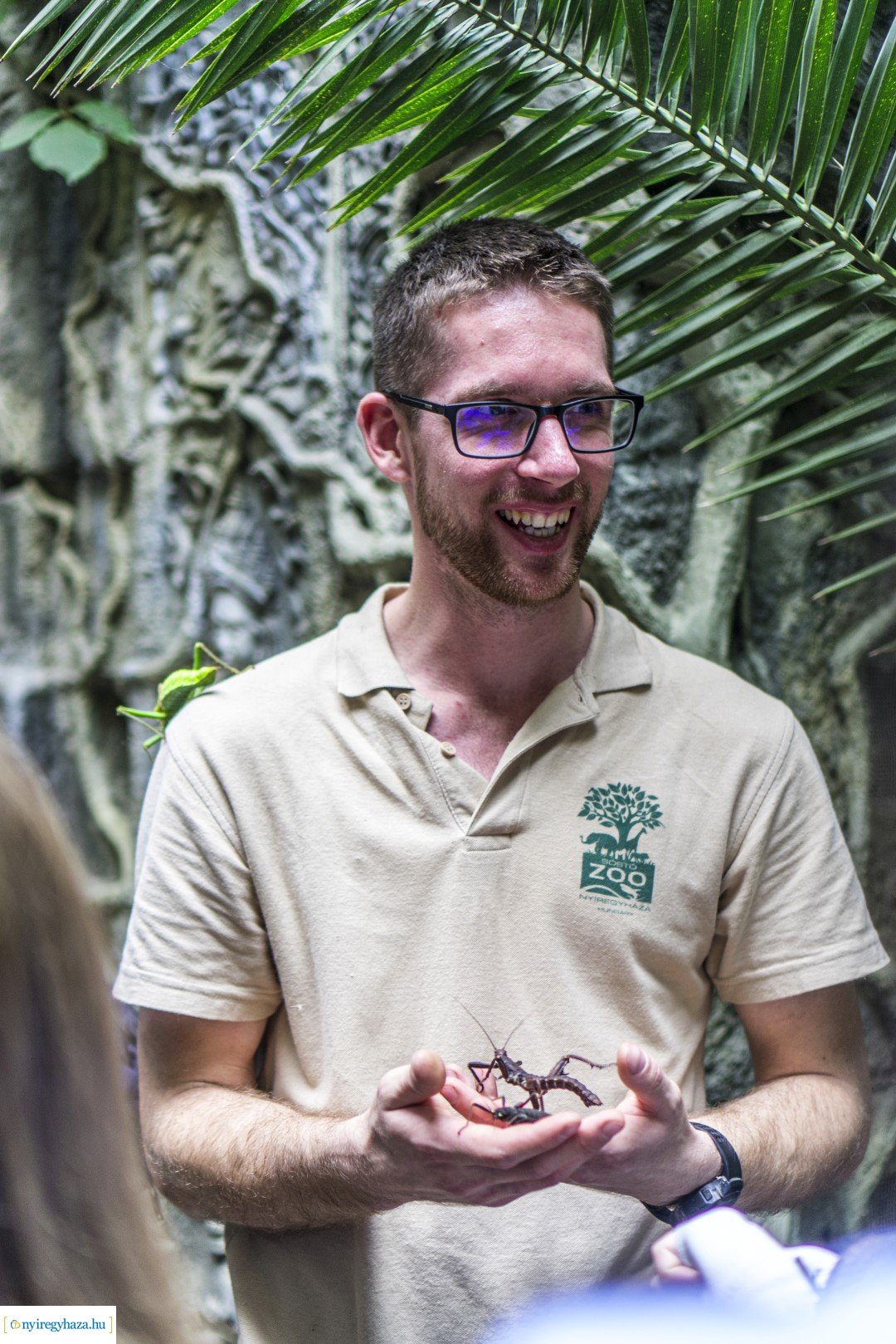 Karácsonyi családi nap a Nyíregyházi Állatparkban