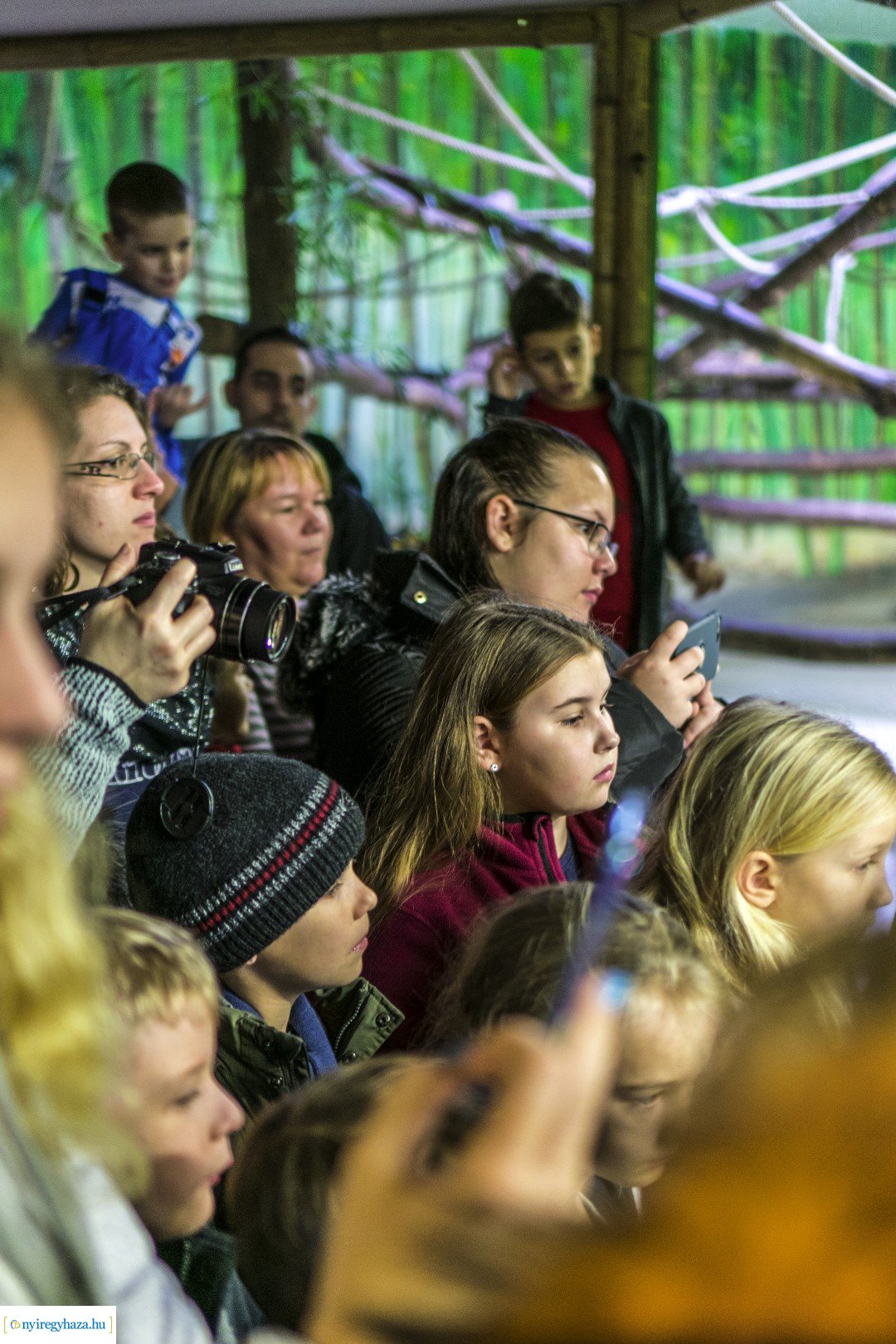 Karácsonyi családi nap a Nyíregyházi Állatparkban