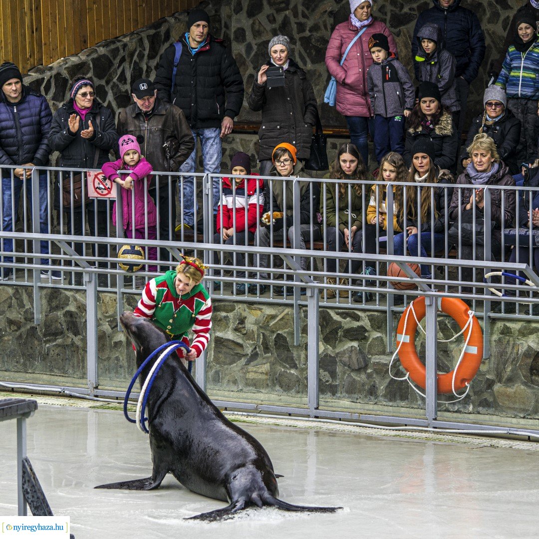 Karácsonyi családi nap a Nyíregyházi Állatparkban