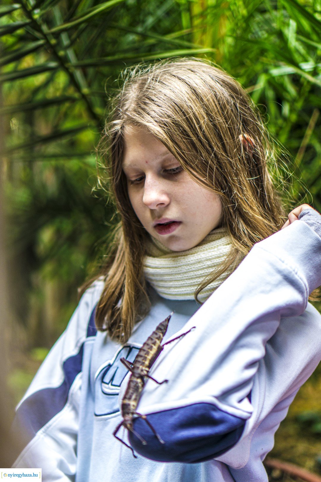 Karácsonyi családi nap a Nyíregyházi Állatparkban