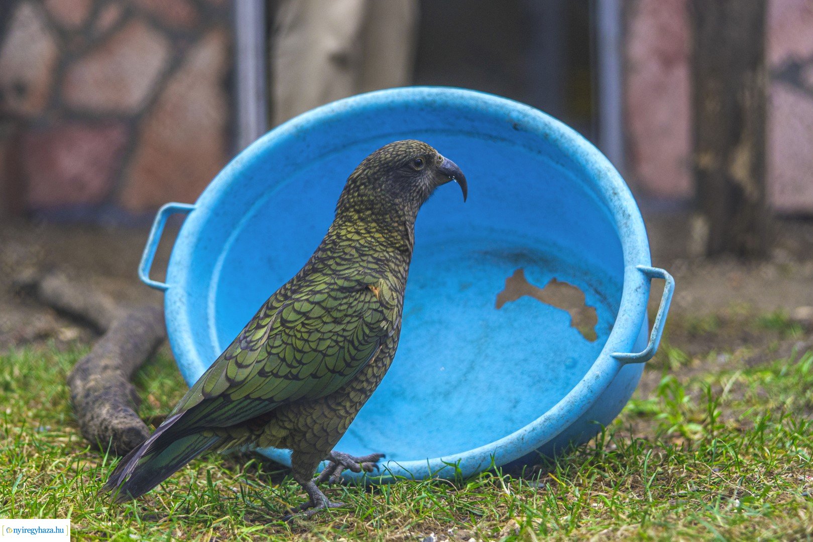 Karácsonyi családi nap a Nyíregyházi Állatparkban