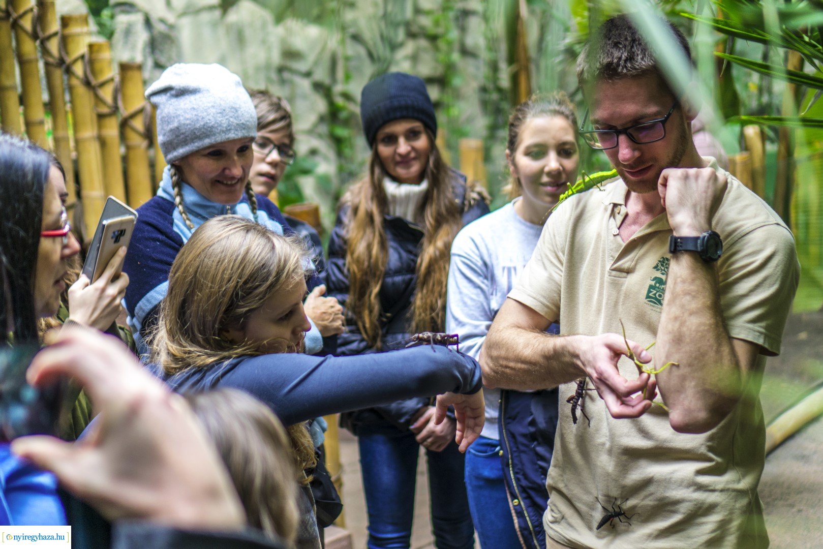 Karácsonyi családi nap a Nyíregyházi Állatparkban