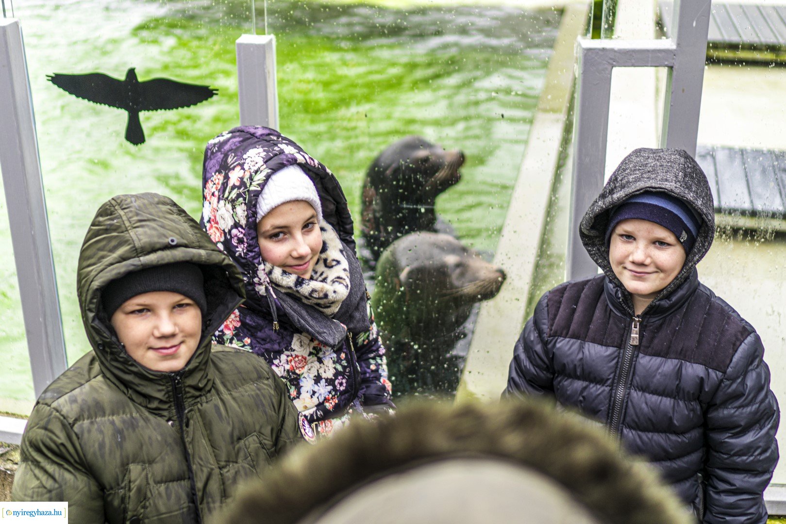 Karácsonyi családi nap a Nyíregyházi Állatparkban