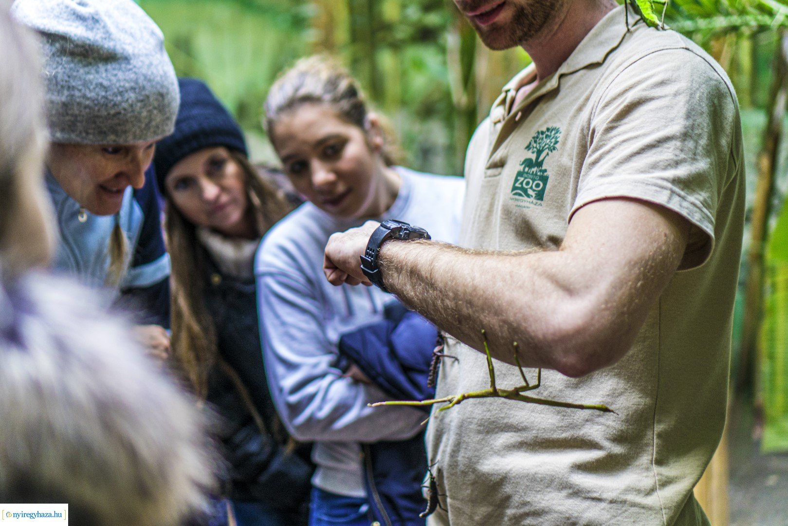 Karácsonyi családi nap a Nyíregyházi Állatparkban