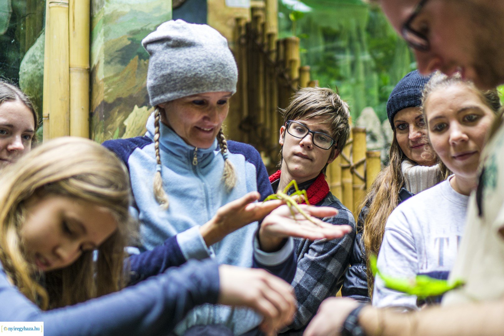 Karácsonyi családi nap a Nyíregyházi Állatparkban