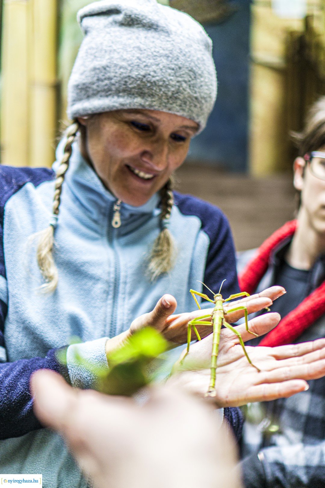 Karácsonyi családi nap a Nyíregyházi Állatparkban