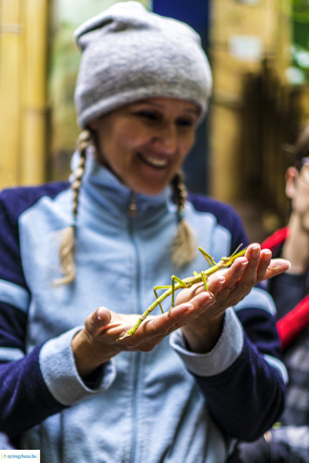 Karácsonyi családi nap a Nyíregyházi Állatparkban