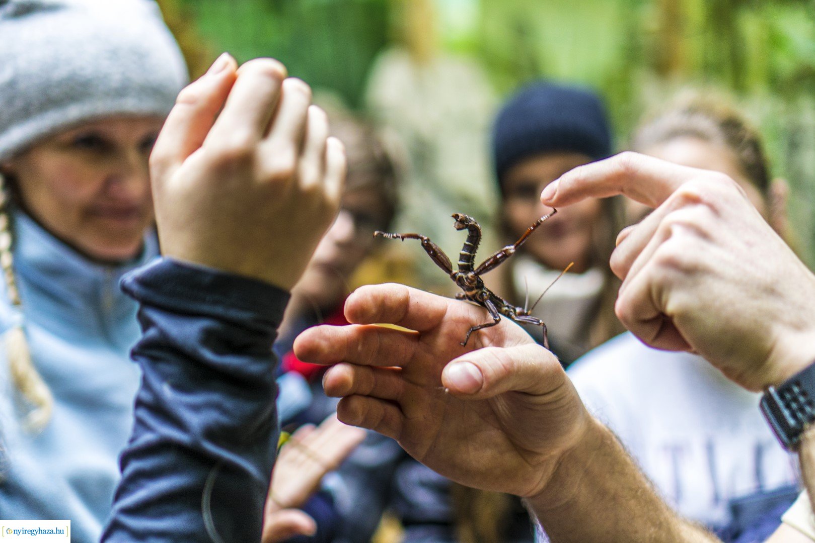Karácsonyi családi nap a Nyíregyházi Állatparkban