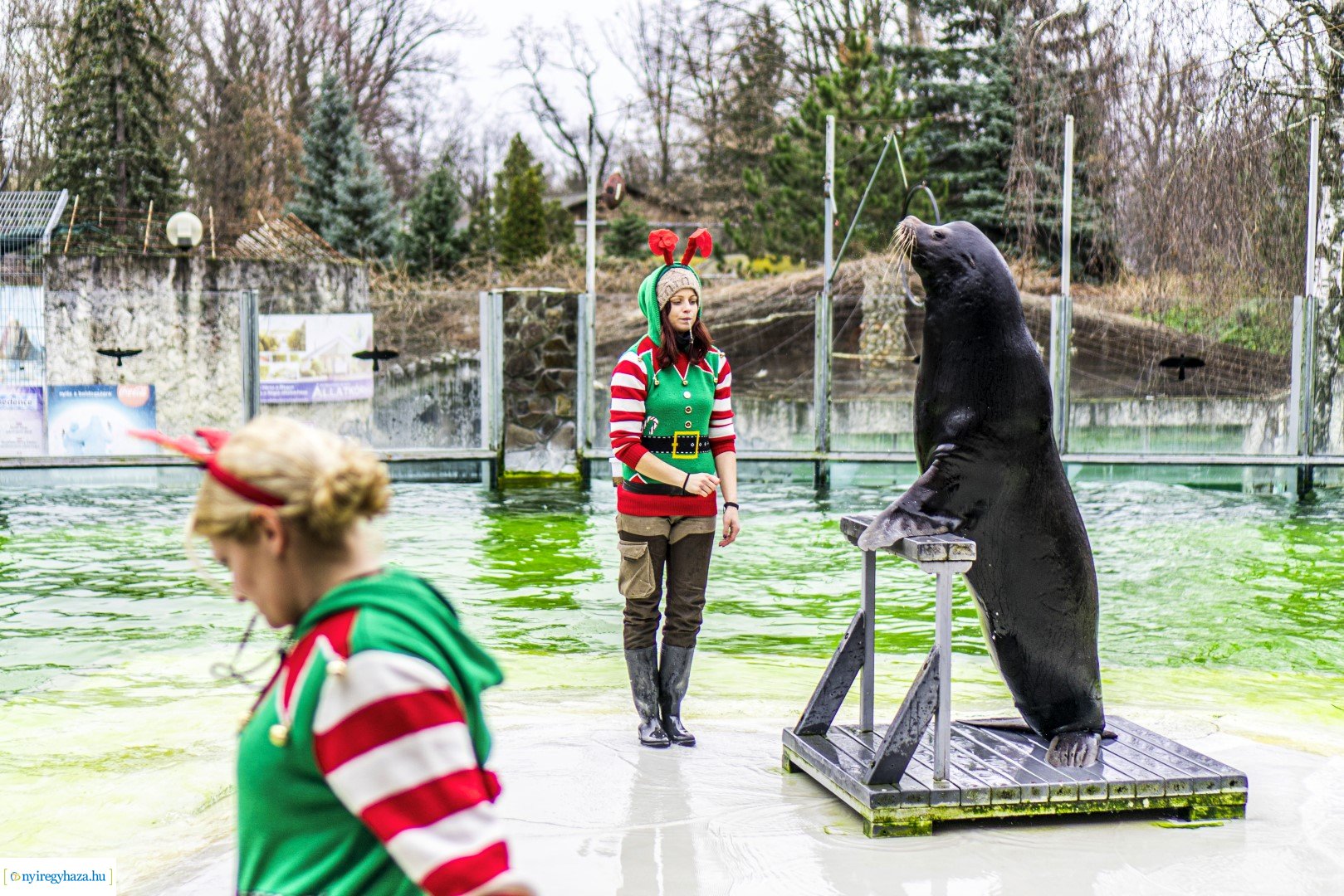 Karácsonyi családi nap a Nyíregyházi Állatparkban