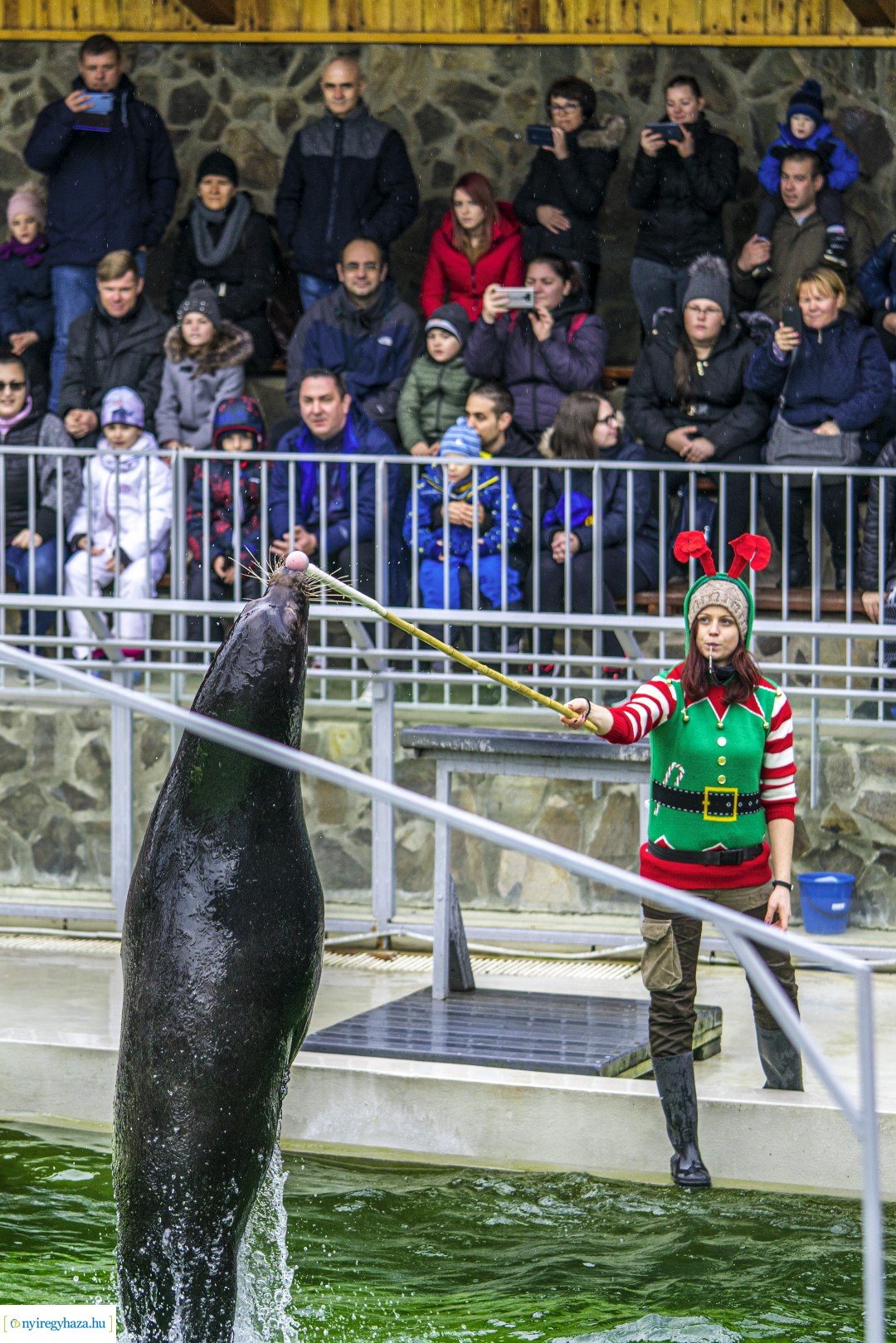 Karácsonyi családi nap a Nyíregyházi Állatparkban