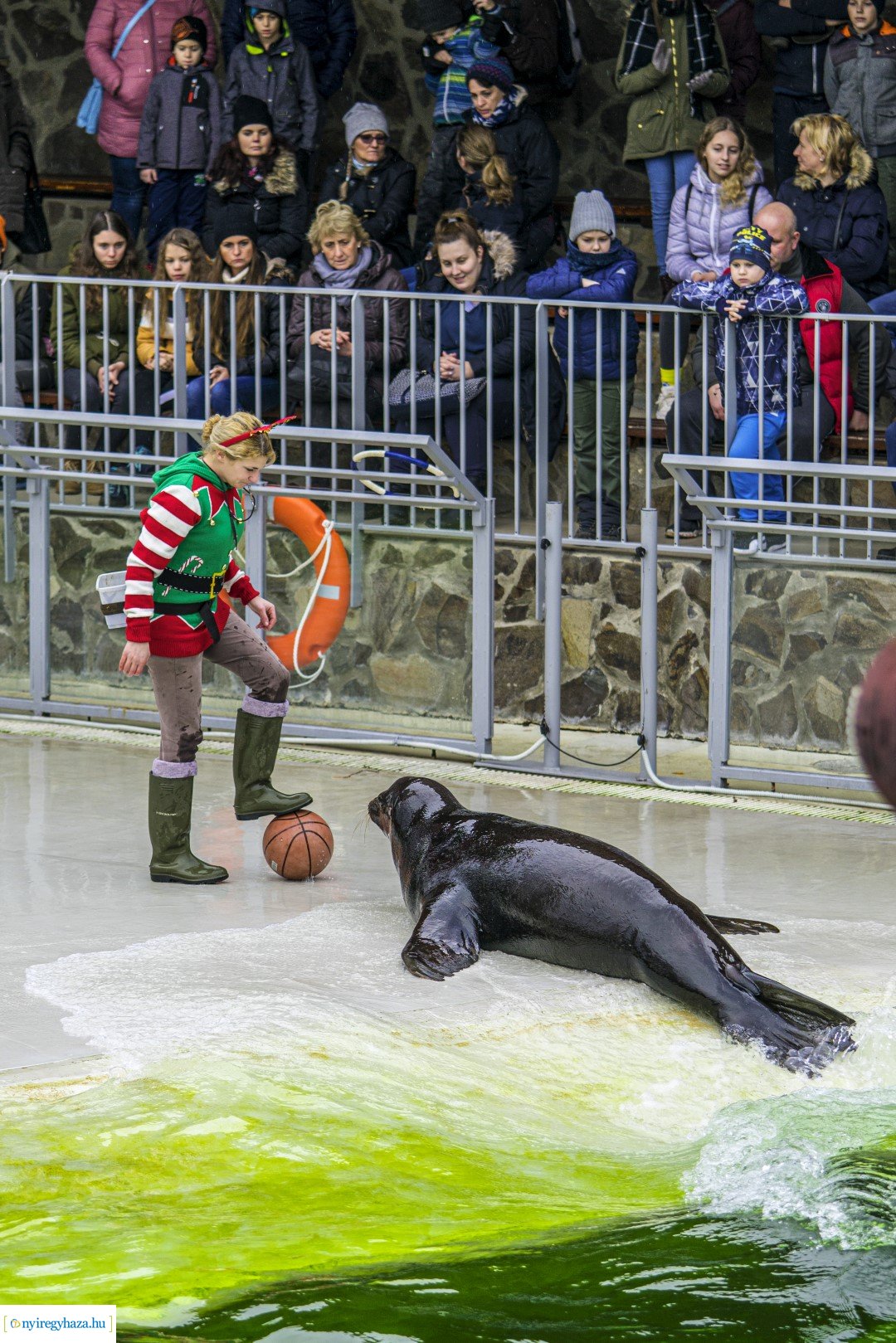 Karácsonyi családi nap a Nyíregyházi Állatparkban