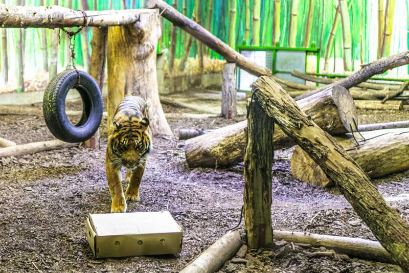 Karácsonyi családi nap a Nyíregyházi Állatparkban