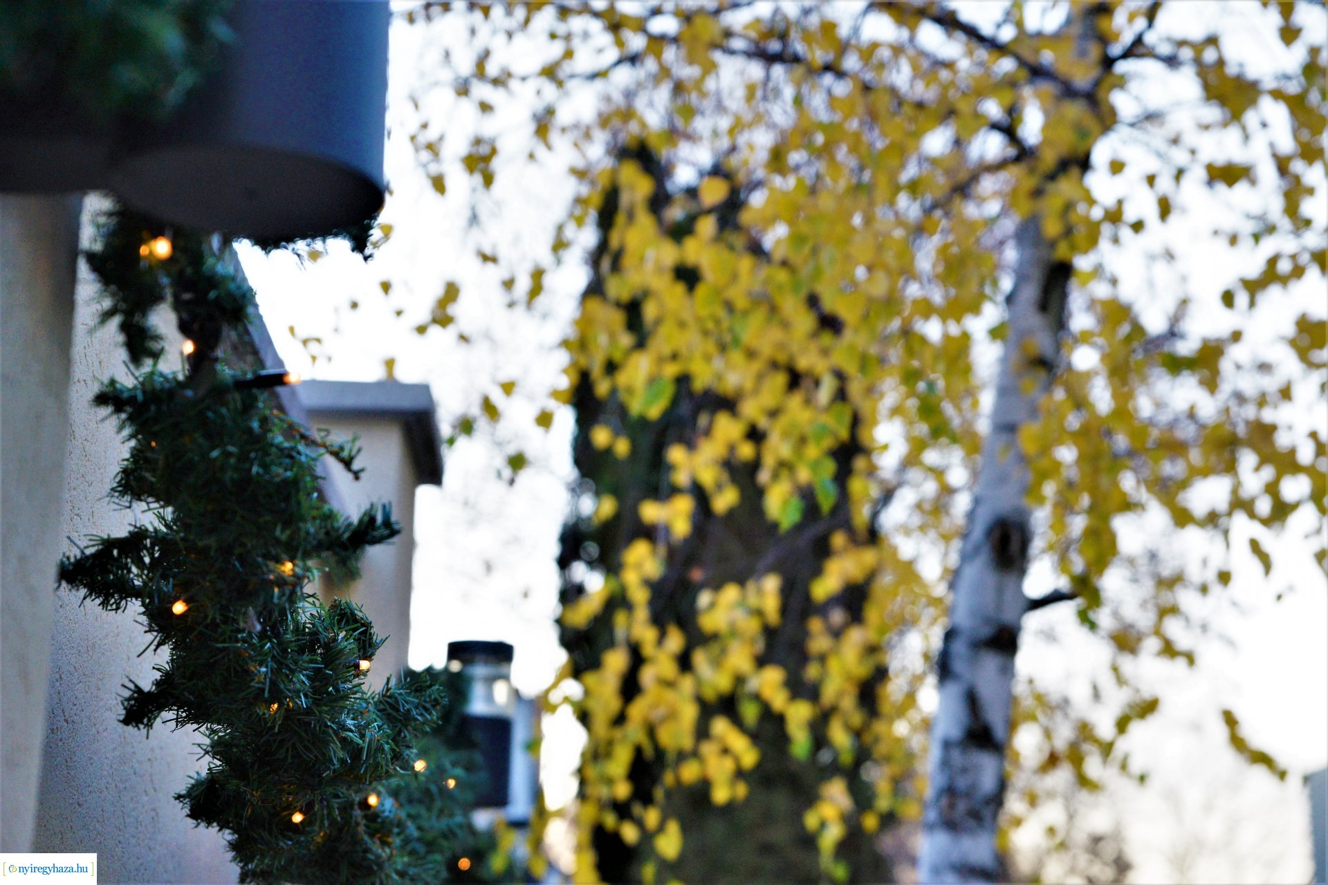 Karácsonyi varázslat - adventi programok a Kállay Gyűjteményben