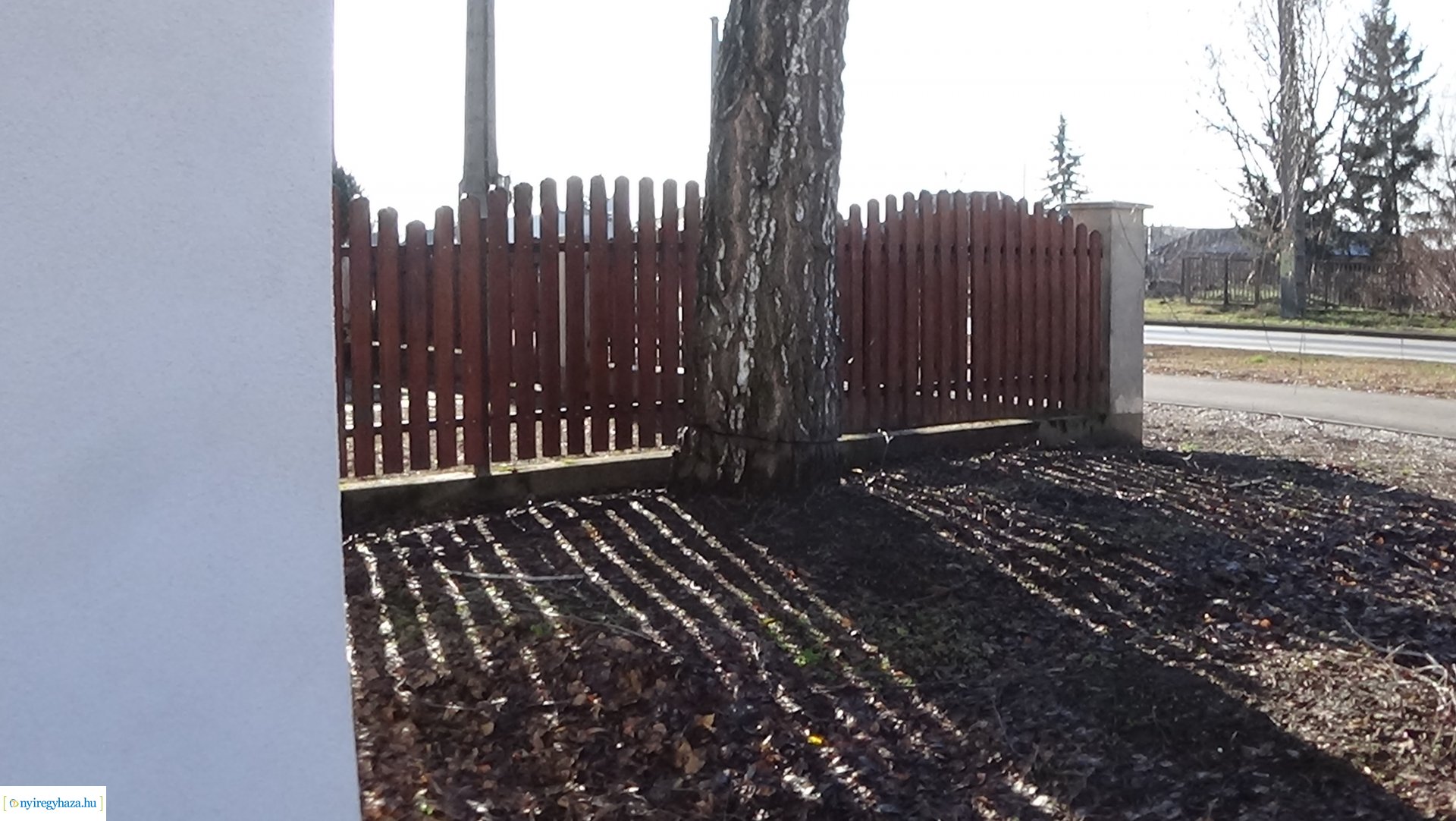 Károsítottak egy nyírfát a Kállói úton