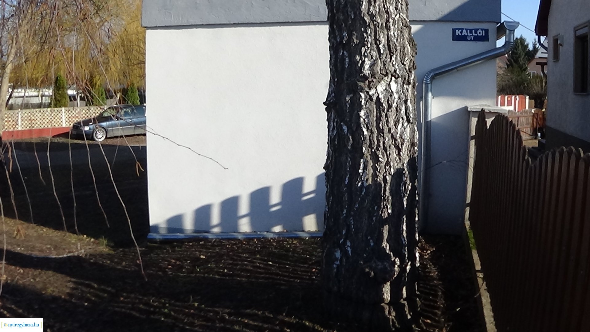 Károsítottak egy nyírfát a Kállói úton