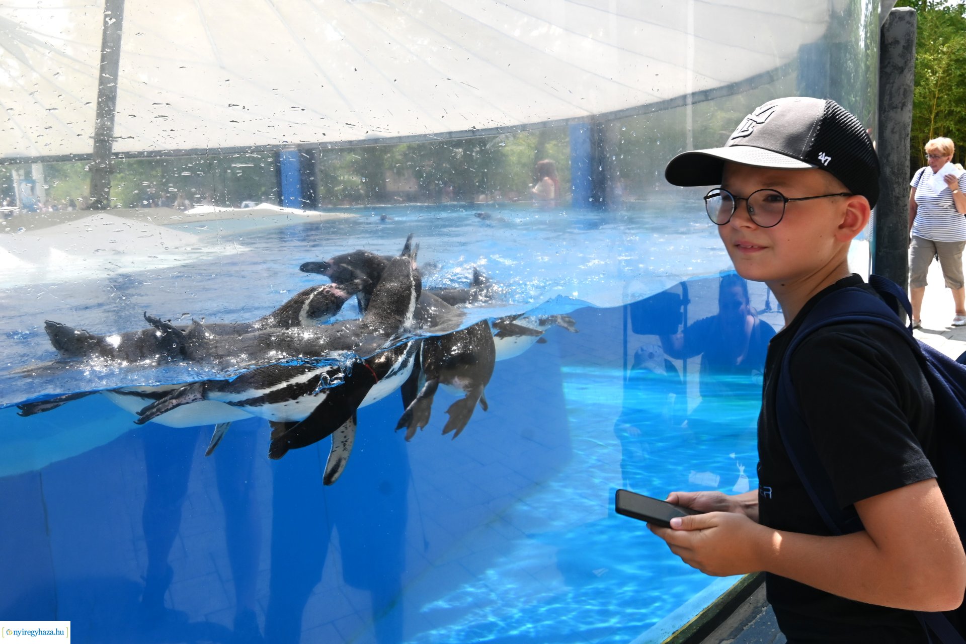 Kedvezményes belépési lehetőség  a nyíregyháziaknak az állatparkba