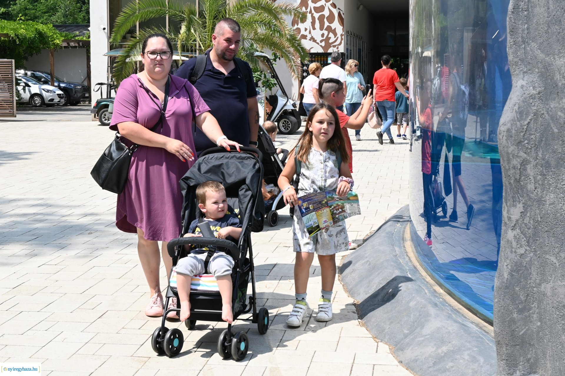 Kedvezményes belépési lehetőség  a nyíregyháziaknak az állatparkba