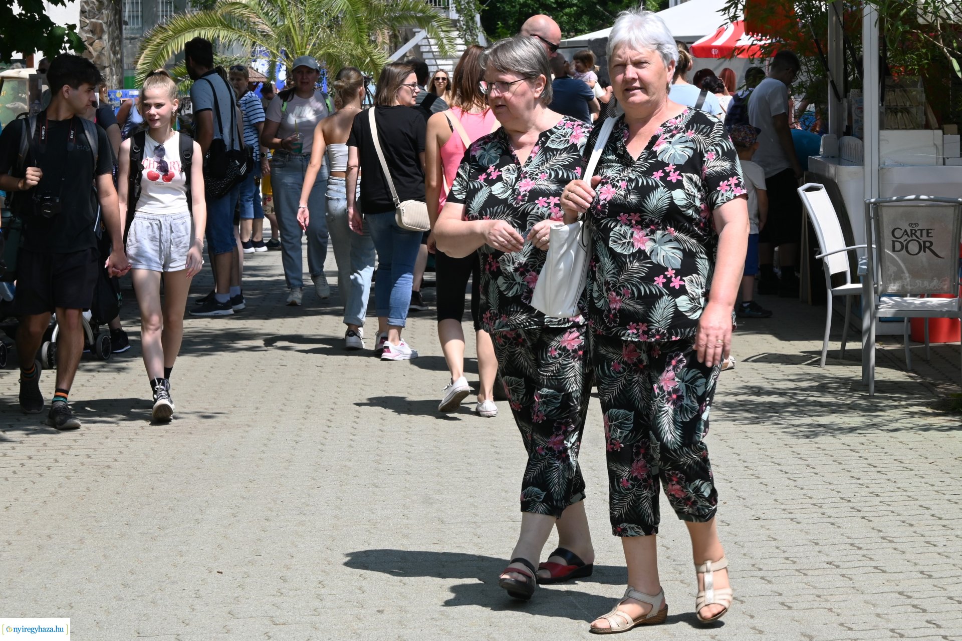 Kedvezményes belépési lehetőség  a nyíregyháziaknak az állatparkba