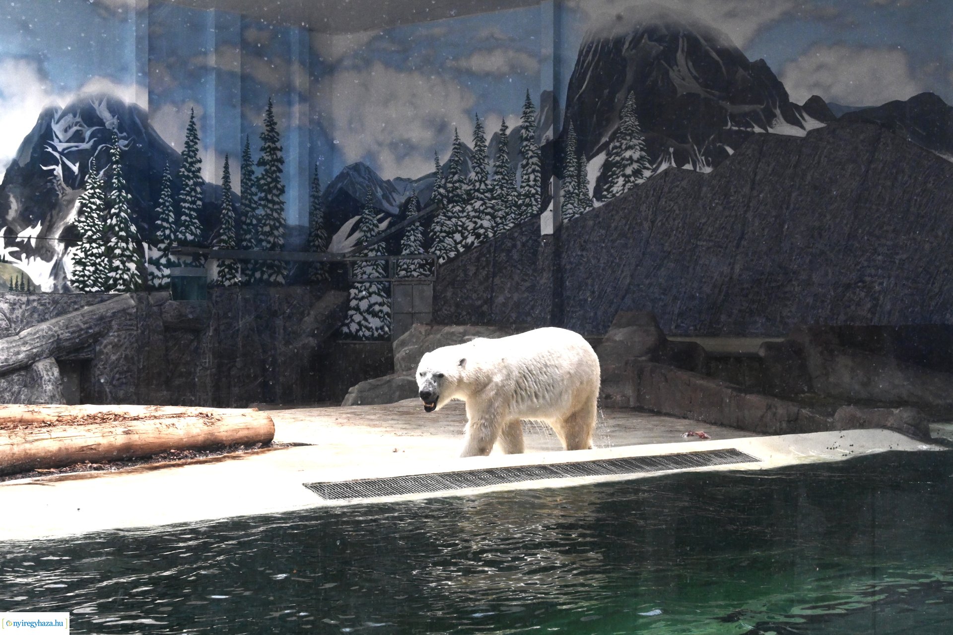 Kedvezményes belépési lehetőség  a nyíregyháziaknak az állatparkba