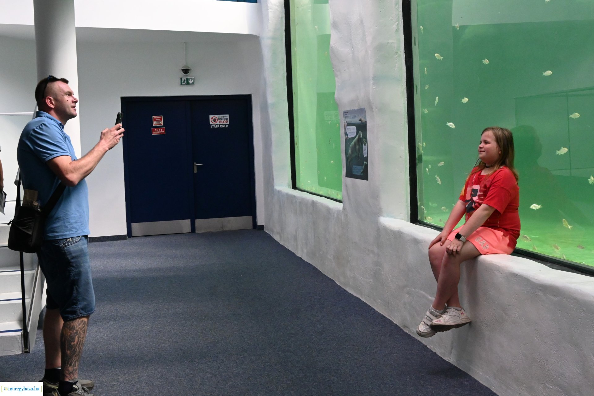 Kedvezményes belépési lehetőség  a nyíregyháziaknak az állatparkba