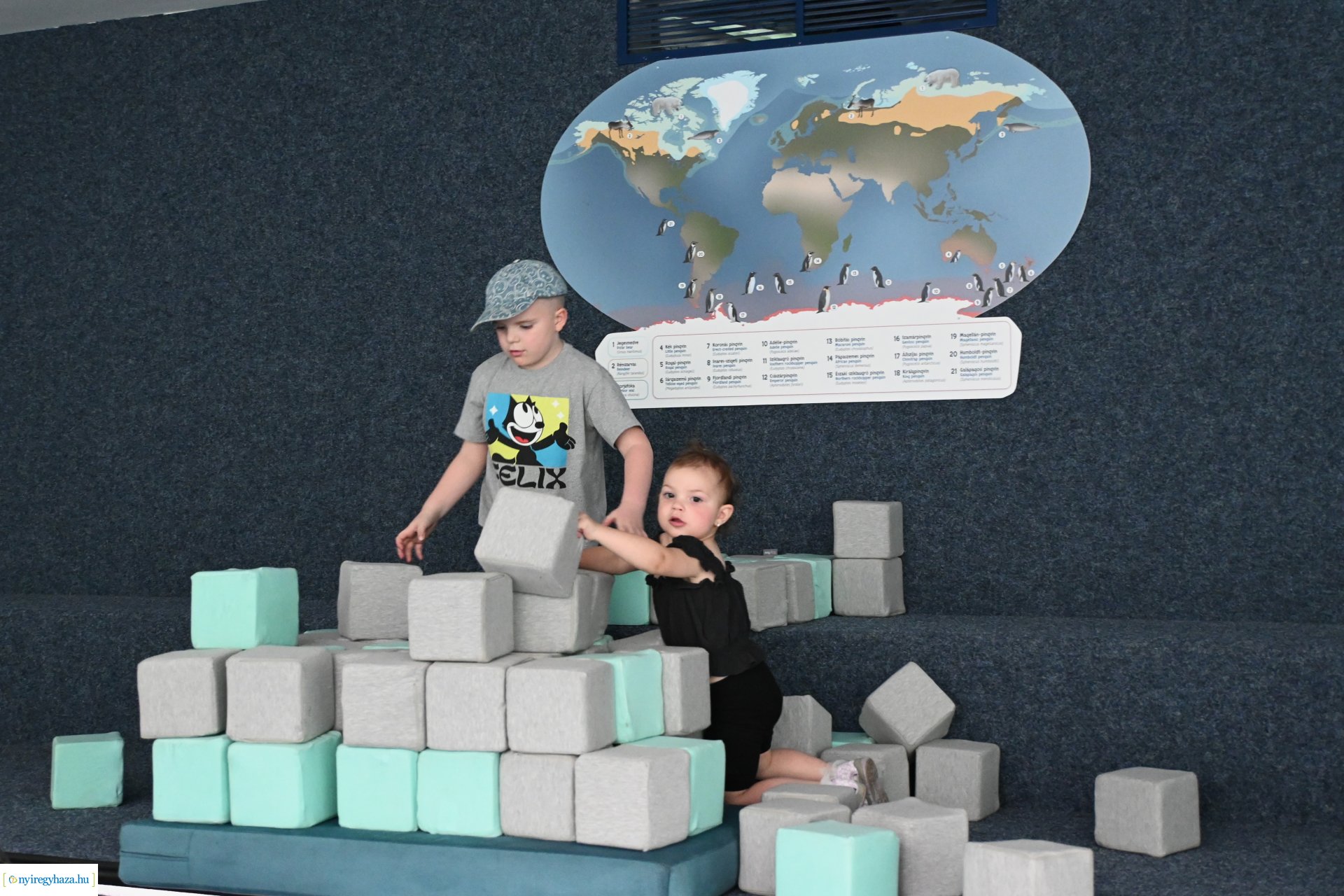 Kedvezményes belépési lehetőség  a nyíregyháziaknak az állatparkba