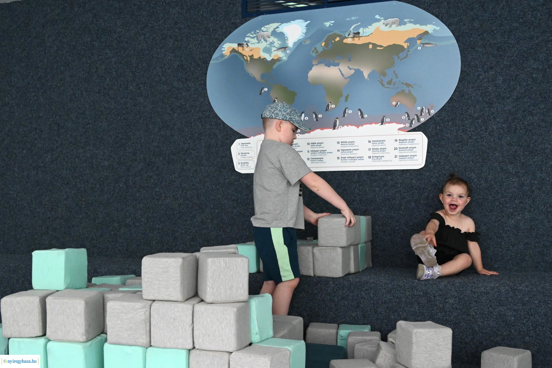 Kedvezményes belépési lehetőség  a nyíregyháziaknak az állatparkba