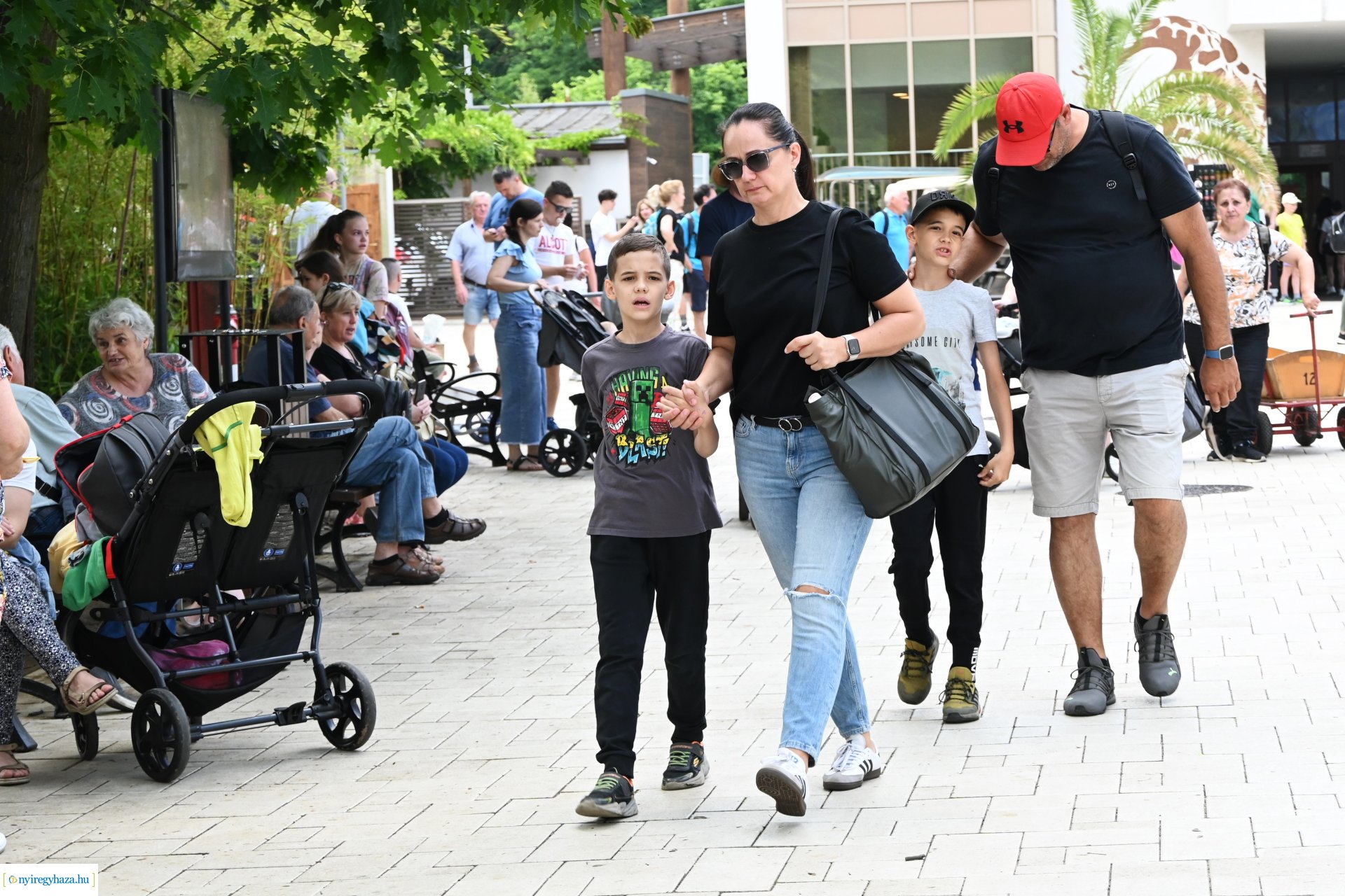 Kedvezményes belépési lehetőség  a nyíregyháziaknak az állatparkba