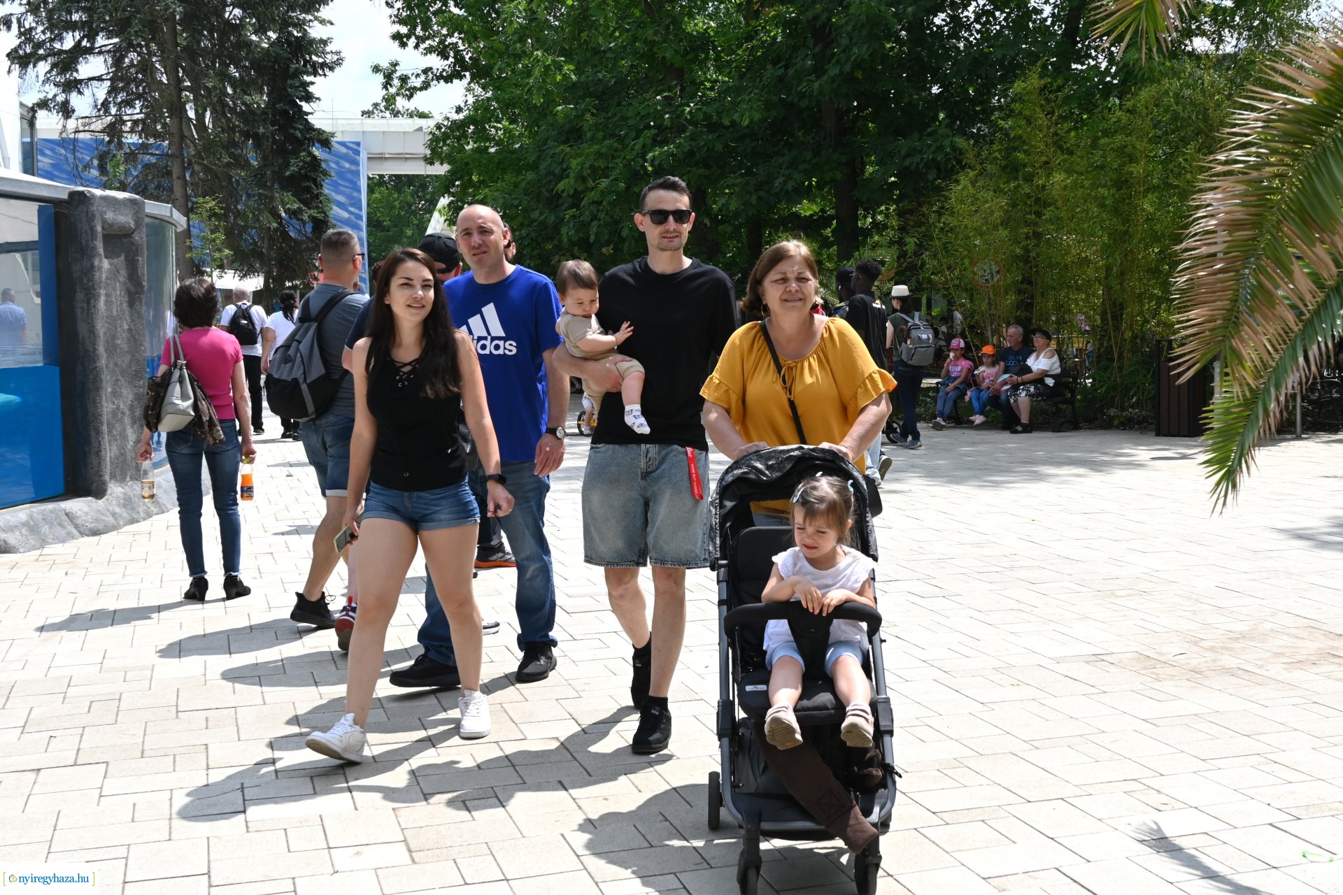 Kedvezményes belépési lehetőség  a nyíregyháziaknak az állatparkba