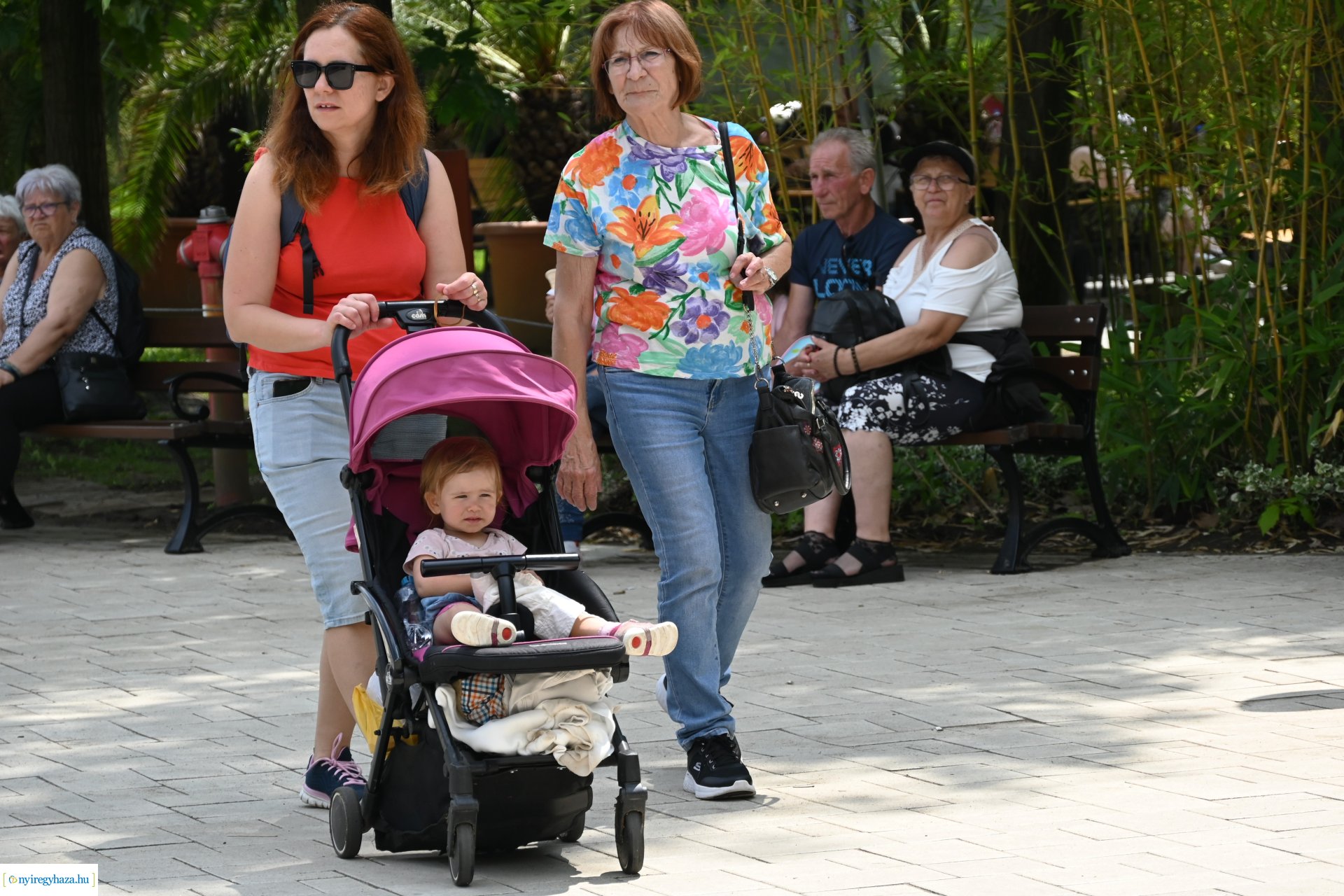 Kedvezményes belépési lehetőség  a nyíregyháziaknak az állatparkba