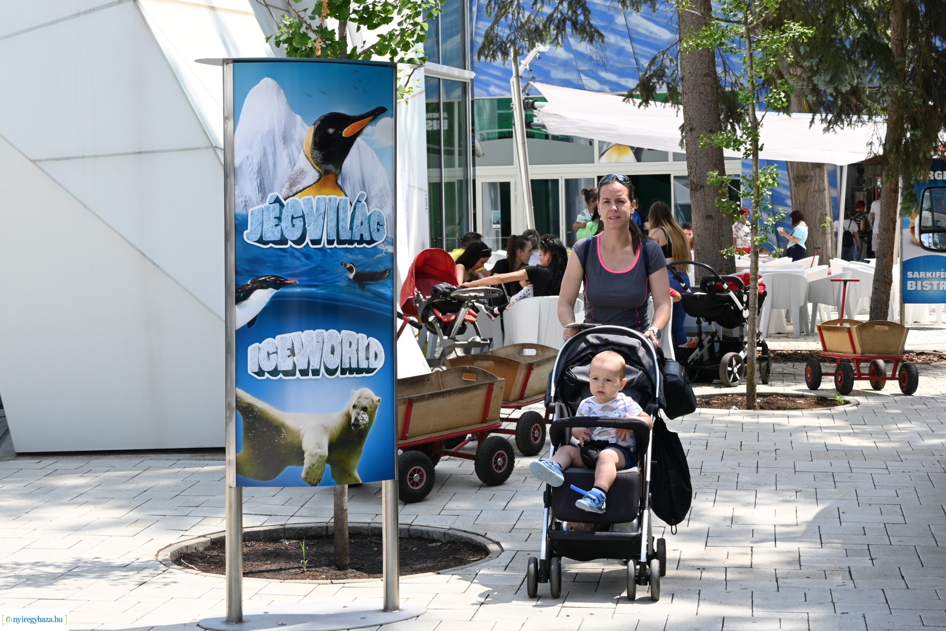 Kedvezményes belépési lehetőség  a nyíregyháziaknak az állatparkba