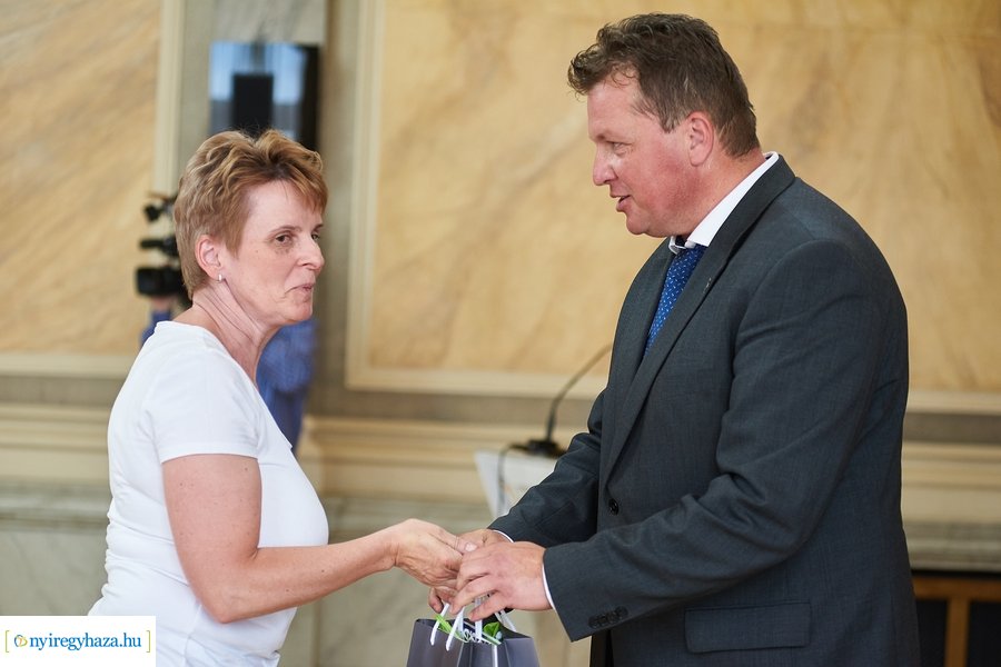 Képregénypályázat nyertesei 2022