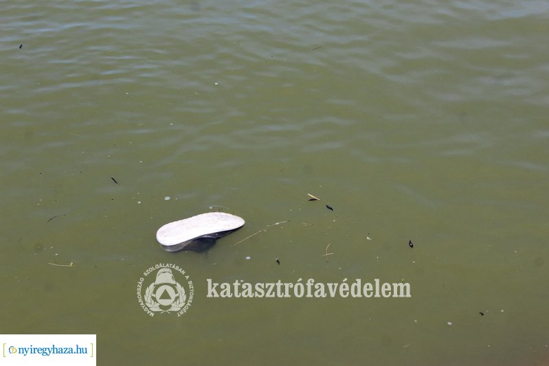 Két holttestet emeltek ki egy kőlaposi víztározóból csütörtök délelőtt 