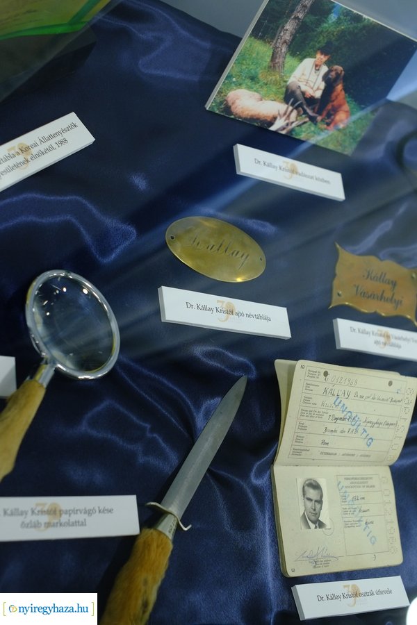 Kiállítások a Kállay Ház jubileumi évében  - 2023