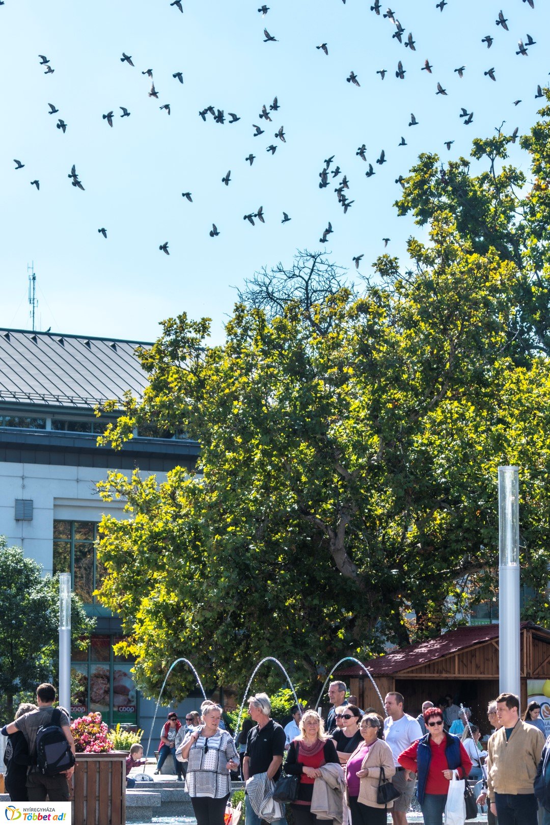 Kígyóznak a sorok az idei Tirpák Fesztiválon