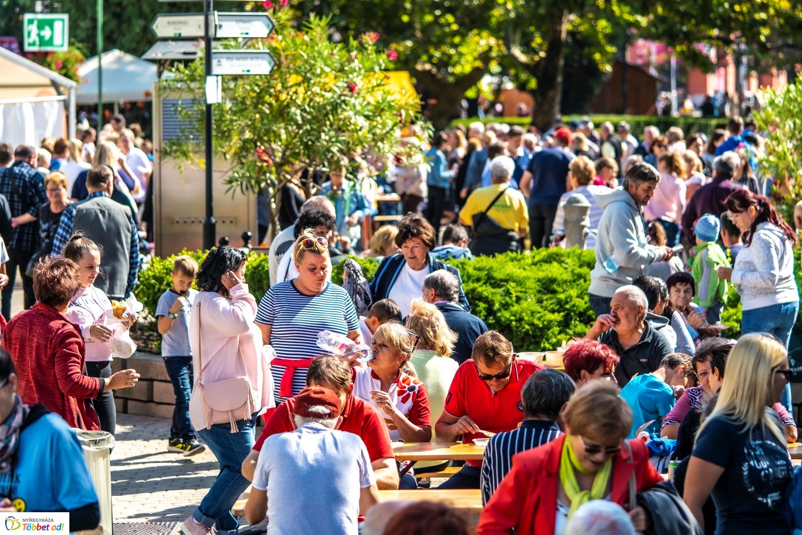 Kígyóznak a sorok az idei Tirpák Fesztiválon